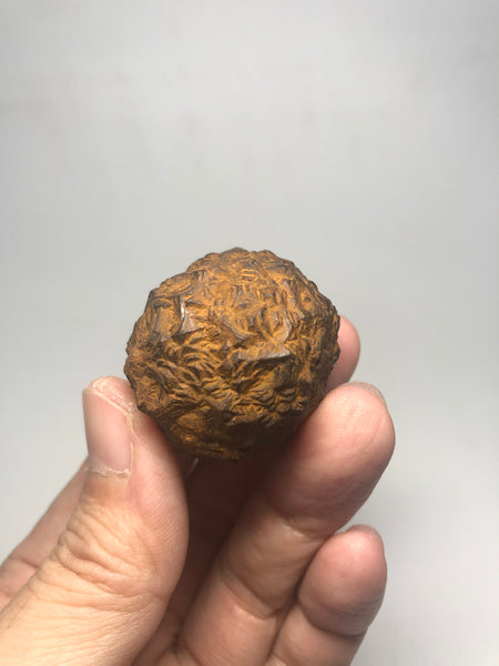 Prophecy Stone Raw Crystals 73g