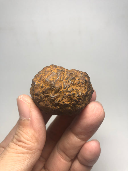 Prophecy Stone Raw Crystals 73g