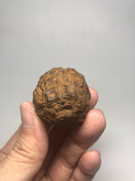 Prophecy Stone Raw Crystals 73g