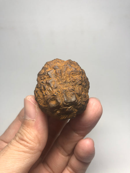 Prophecy Stone Raw Crystals 73g