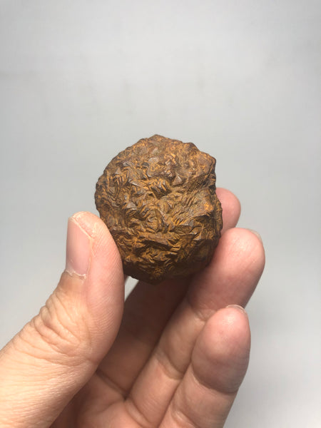 Prophecy Stone Raw Crystals 73g