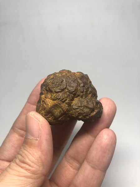 Prophecy Stone Raw Crystals 84g