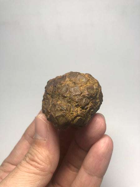 Prophecy Stone Raw Crystals 84g