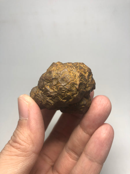 Prophecy Stone Raw Crystals 84g