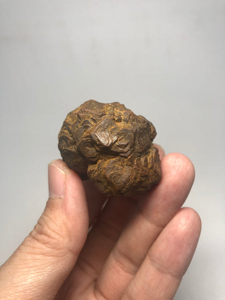 Prophecy Stone Raw Crystals 84g