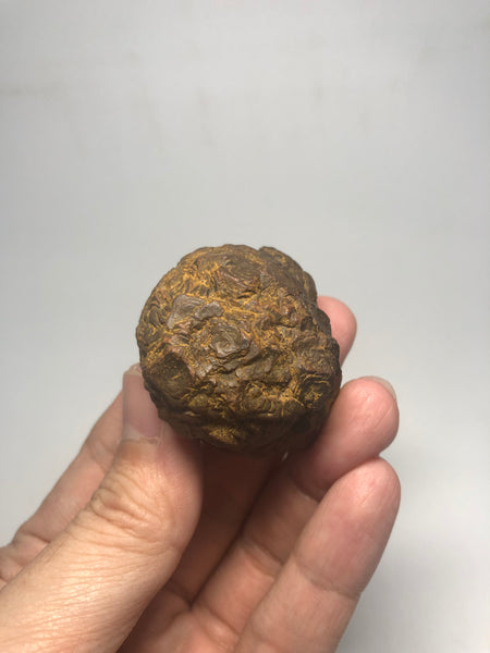 Prophecy Stone Raw Crystals 84g