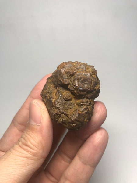 Prophecy Stone Raw Crystals 84g