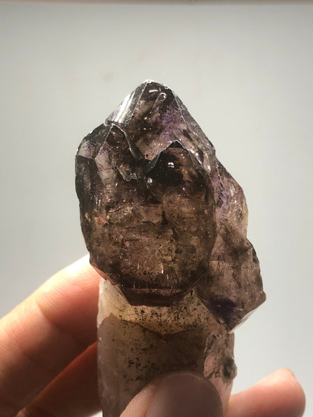 Smoky Amethyst with Red Hematite Scepter Raw Crystals 84g