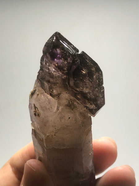 Smoky Amethyst with Red Hematite Scepter Raw Crystals 84g