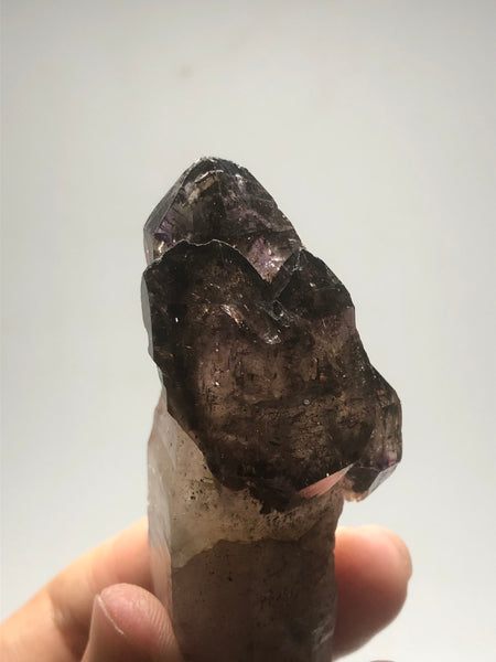 Smoky Amethyst with Red Hematite Scepter Raw Crystals 84g