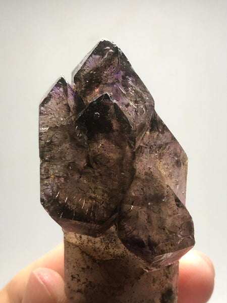 Smoky Amethyst with Red Hematite Scepter Raw Crystals 84g
