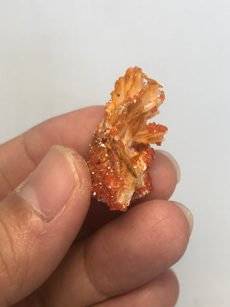 Vanadinite on Barite Raw Crystals 8g