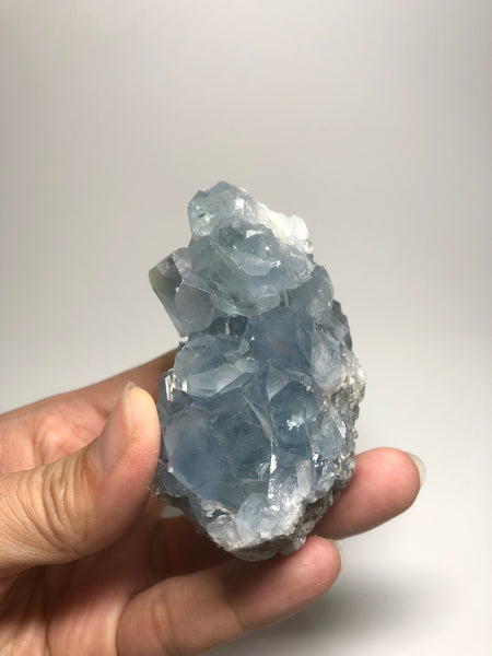 Blue Celestite Clusters Raw Crystals