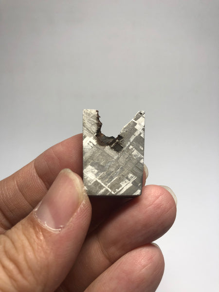 Meteorite from Muonionalusta Sweden