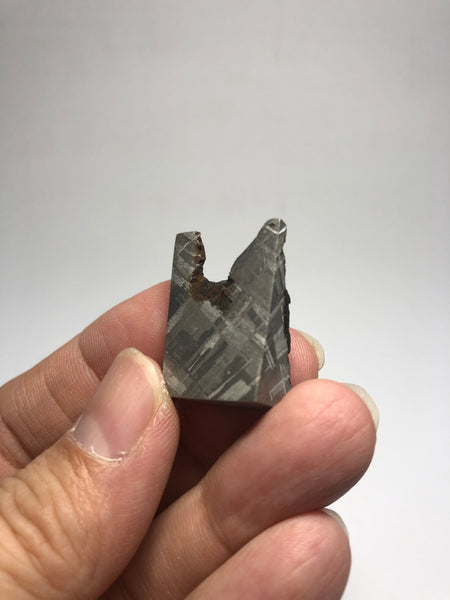 Meteorite from Muonionalusta Sweden