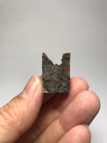 Meteorite from Muonionalusta Sweden