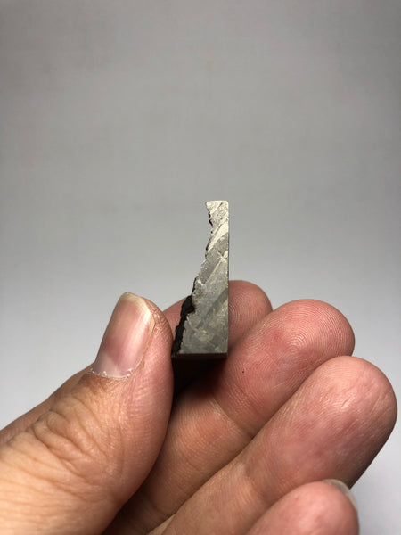 Meteorite from Muonionalusta Sweden