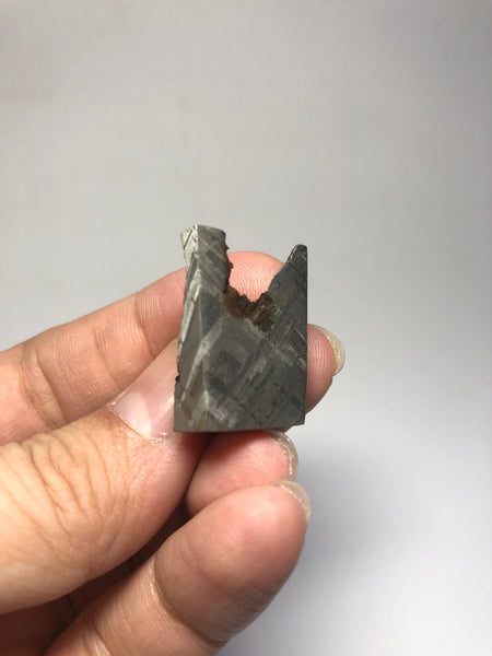 Meteorite from Muonionalusta Sweden