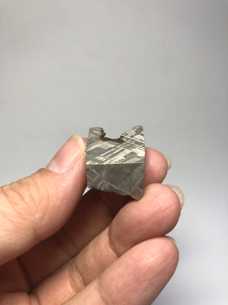 Meteorite from Muonionalusta Sweden