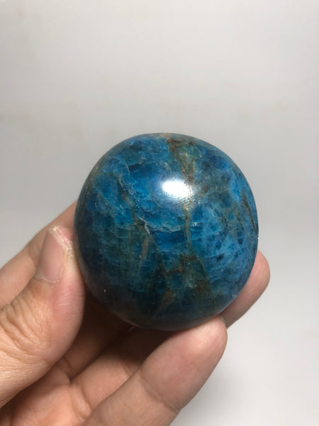 Blue Apatite Palm Stones 116g