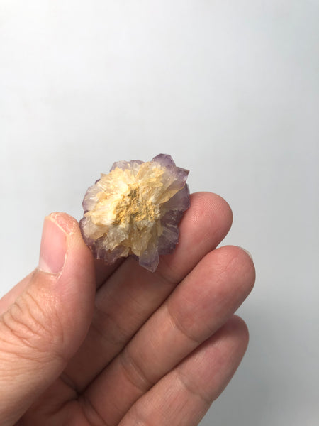 Amethyst Spirit Cactus Quartz Raw Crystals 18g