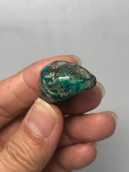 Chrysocolla with Dioptase Tumbled Stones 19g