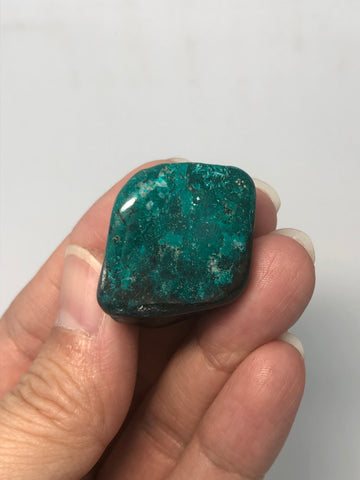 Chrysocolla with Dioptase Tumbled Stones 24g