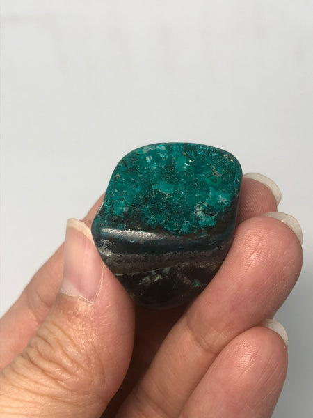 Chrysocolla with Dioptase Tumbled Stones 24g