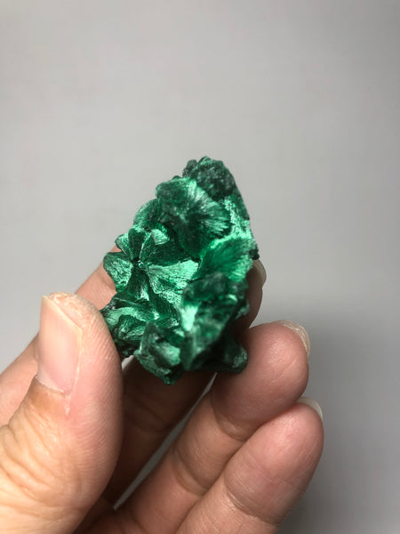 Malachite Raw Crystals 24g