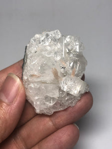 Apophyllite Raw Crystals 46g