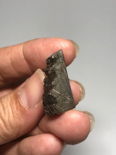 Meteorite from Muonionalusta Sweden