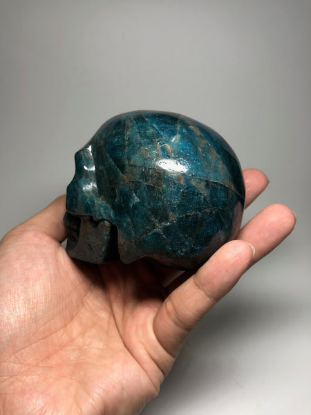 Blue Apatite Crystal Skull 650g