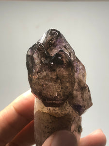 Smoky Amethyst with Red Hematite Scepter Raw Crystals 84g