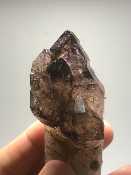 Smoky Amethyst with Red Hematite Scepter Raw Crystals 84g