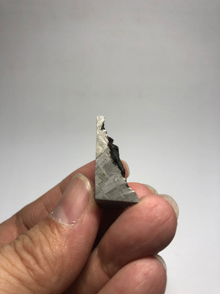 Meteorite from Muonionalusta Sweden